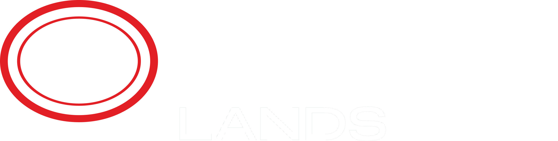 white_logo.png